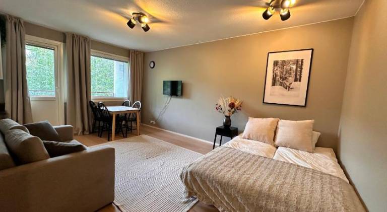 Pleasant rental apartment | Close to Arktikum Science Museum | Pets are welcome — photo 2