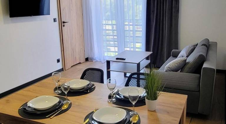Apartment with 1 room for 4 persons in Wisla