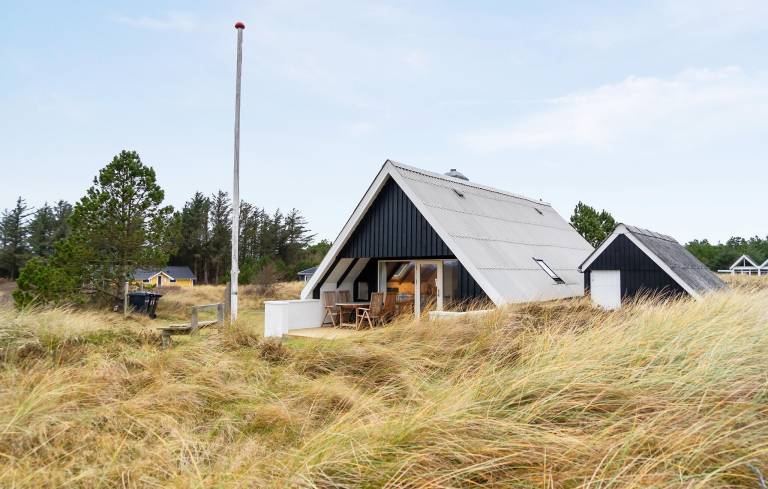 Ferienhaus mit Hund in Vorupør, Sønder Vorupør f&uuml;r max. 5 Personen