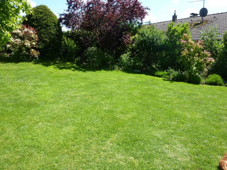 Rental apartment with barbeque, yard & patio | Garden view — photo 3