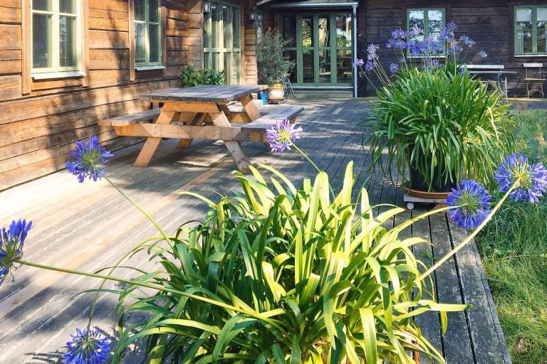 House with garden — photo 5