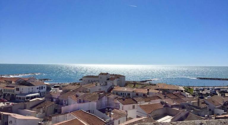 Le Maset en Camargue — photo 4