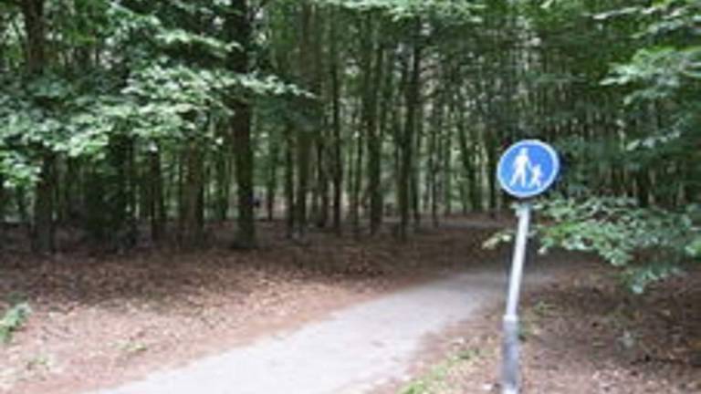 foto22