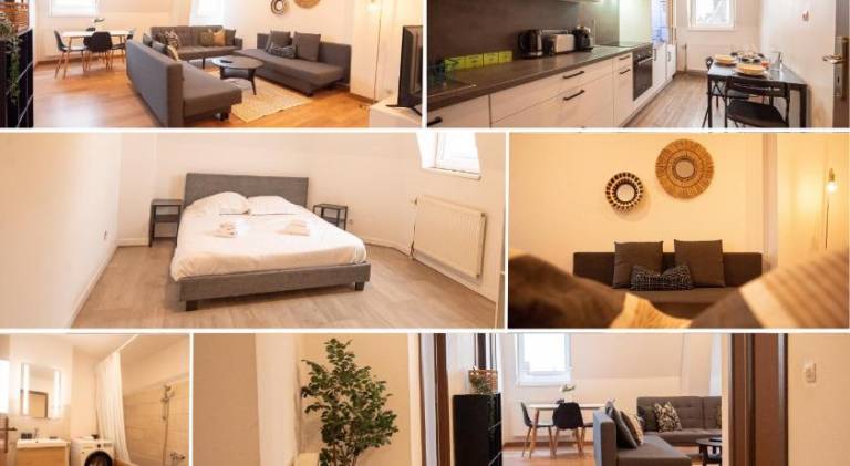COSY’HOME Ravissant appartement bien situe Mulhouse — photo 2