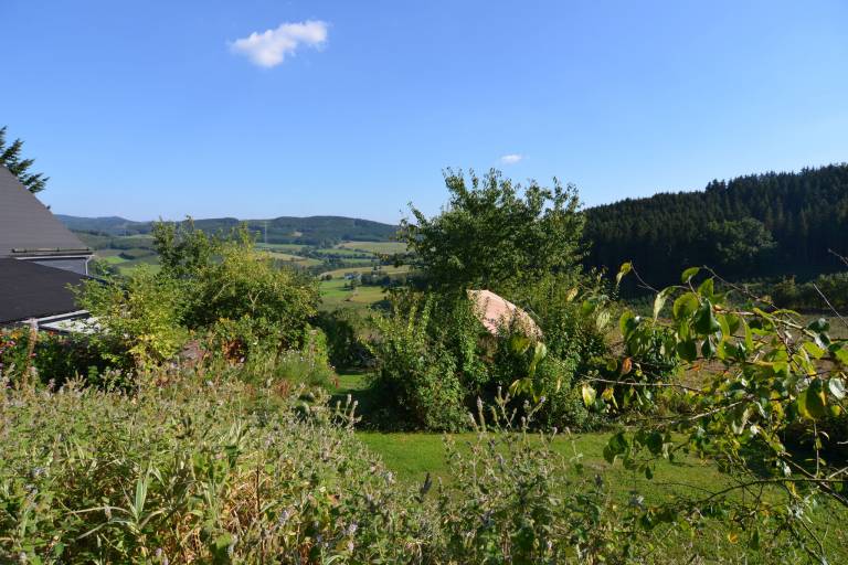 foto5