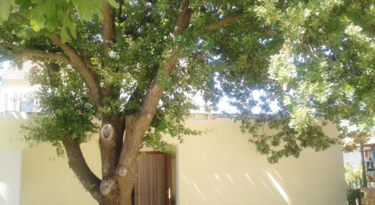 Apartments Angela in Biograd na Moru