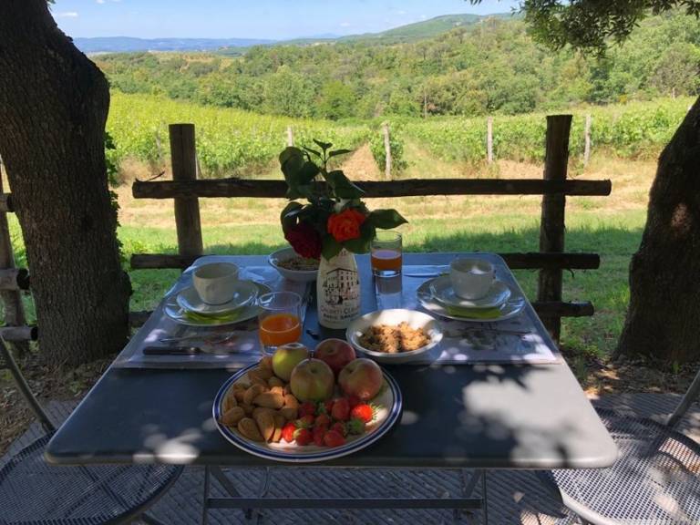foto11