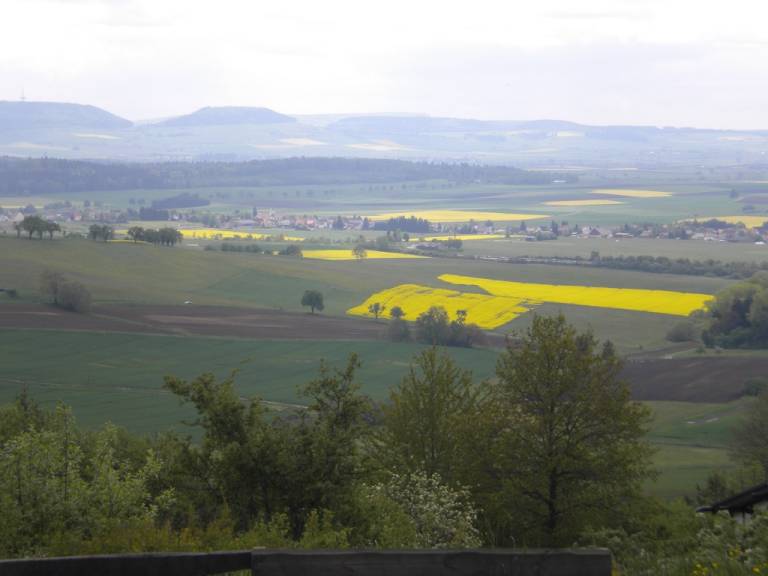 foto14