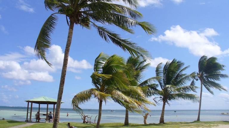Bed & Breakfast Martinique