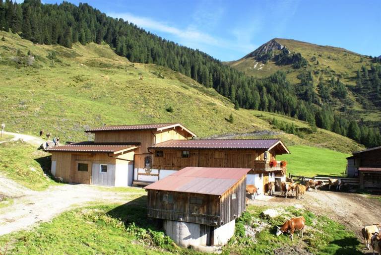 Hotel Bachmayerhof — photo 5