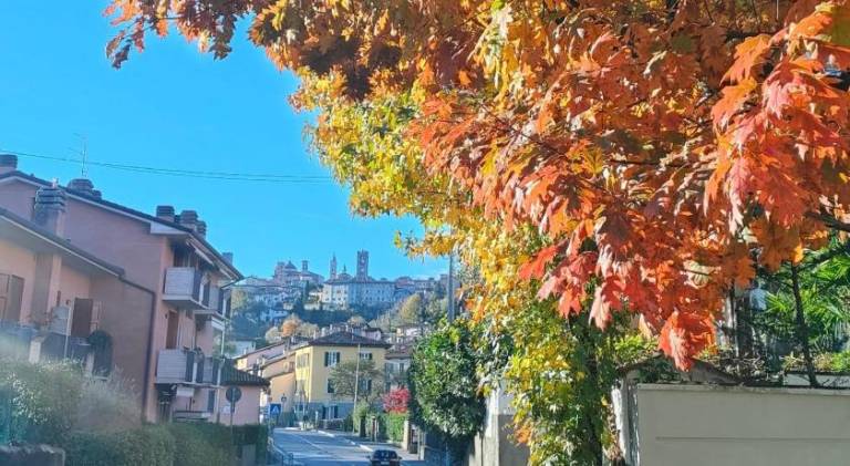 Beautiful rental apartment | Near Piazza Vecchia | Pets are welcome in Bergamo