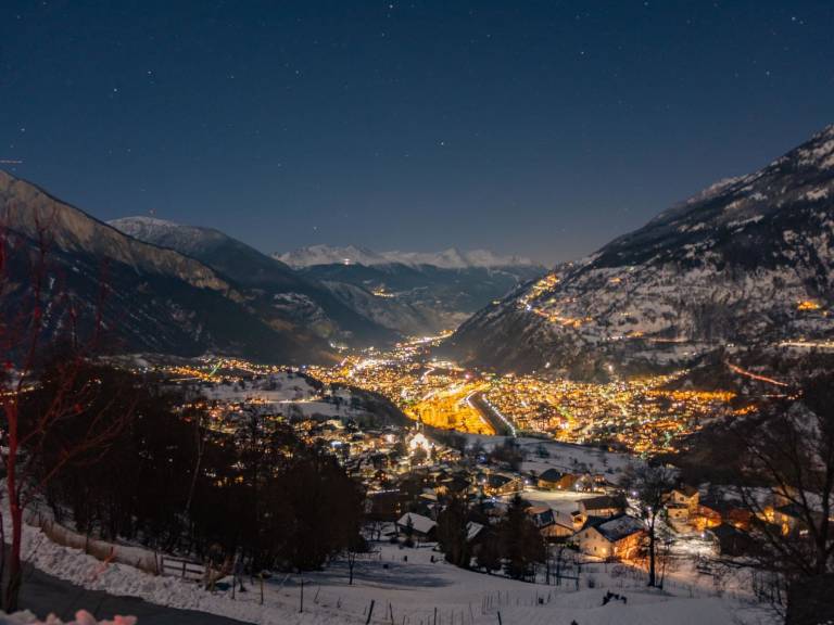Appartement Riederalp