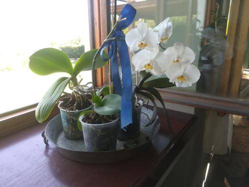 foto11