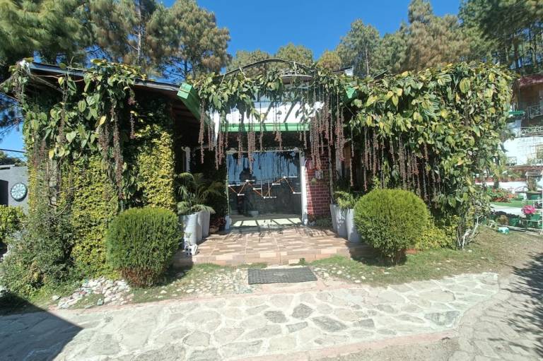 foto6