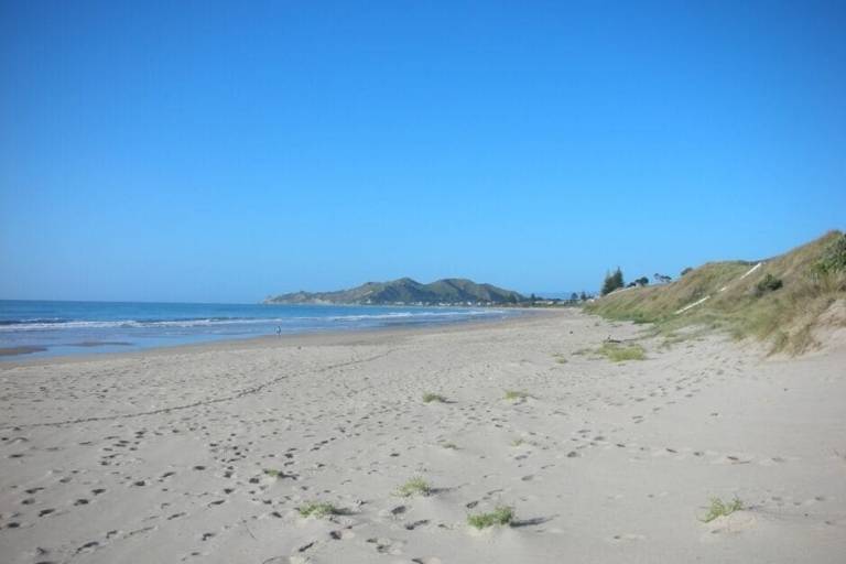 House Gisborne