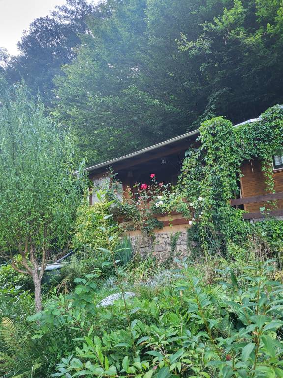 Hütte Struppen