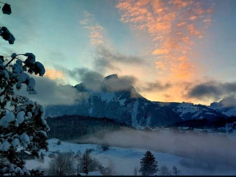 foto24