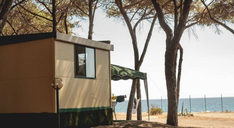 Camping Cammello Grigio in Catanzaro