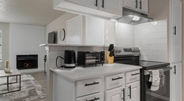 The Landry 257 Spacious and Cozy 1 Bedroom 1bth — photo 5