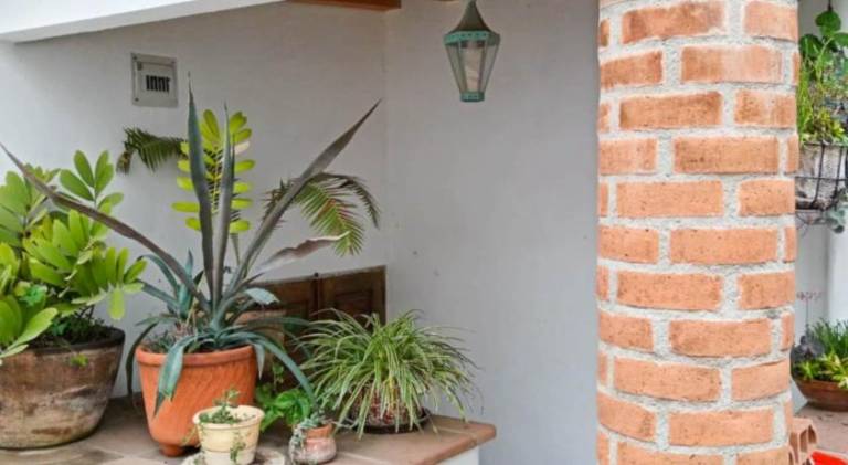 Casita olivia — photo 3