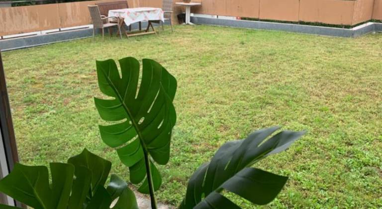 Charming holiday apartment | Pets are welcome in Würzburg