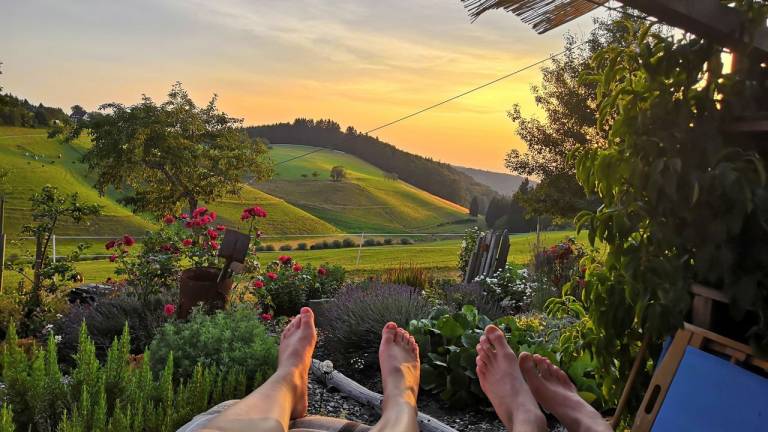 Ferienhaus  Freiamt
