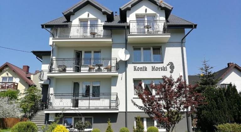 Konik Morski in Wladyslawowo