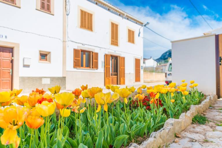Ferienwohnung in Colonia de Sant Pere f&uuml;r max. 6 Personen, 