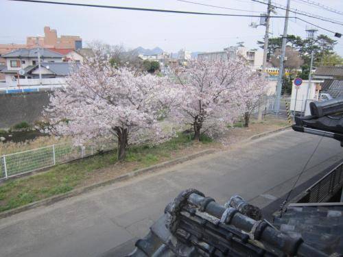 foto9