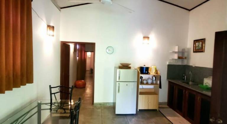 Jungle House — photo 3