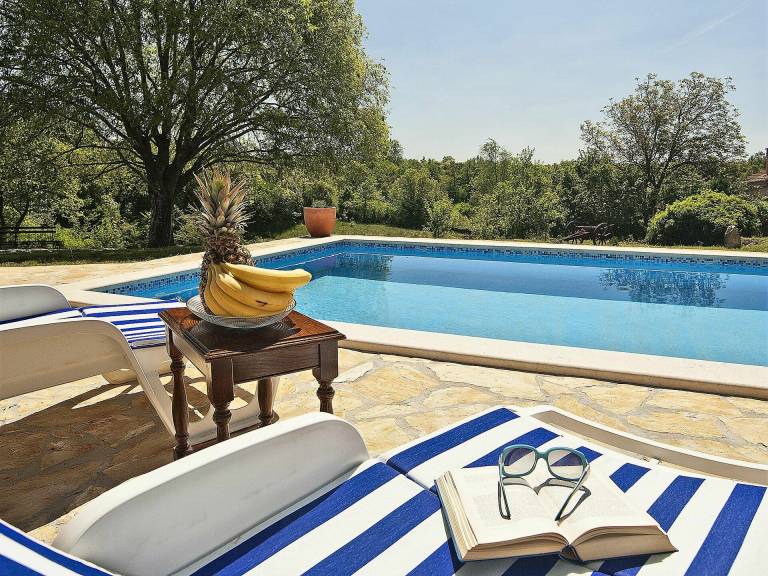Ferienhaus Žminj
