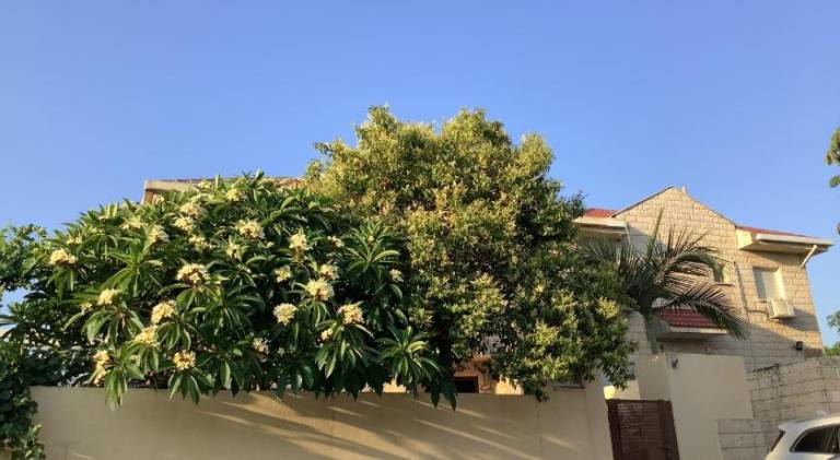 foto7