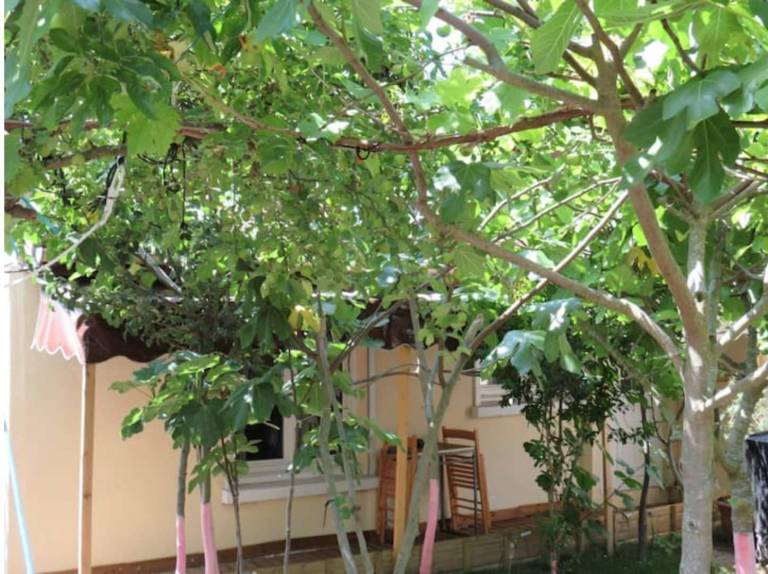 Appartement Goussainville