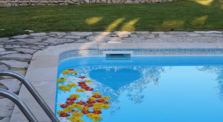 Nice vacation home with garden, patio & pool | Dogs allowed — photo 3