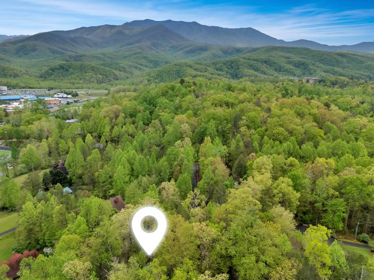 Gatlinburg Hot Tub Pet Friendly Fireplace WiFi — photo 3