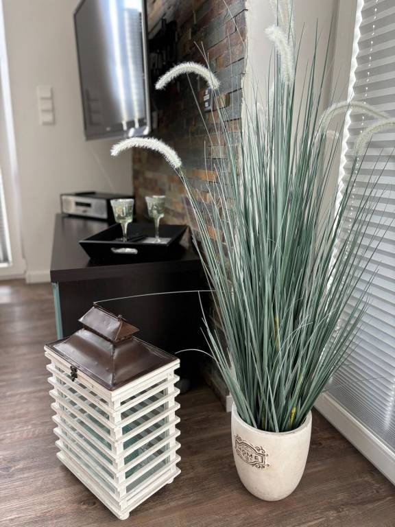 foto22