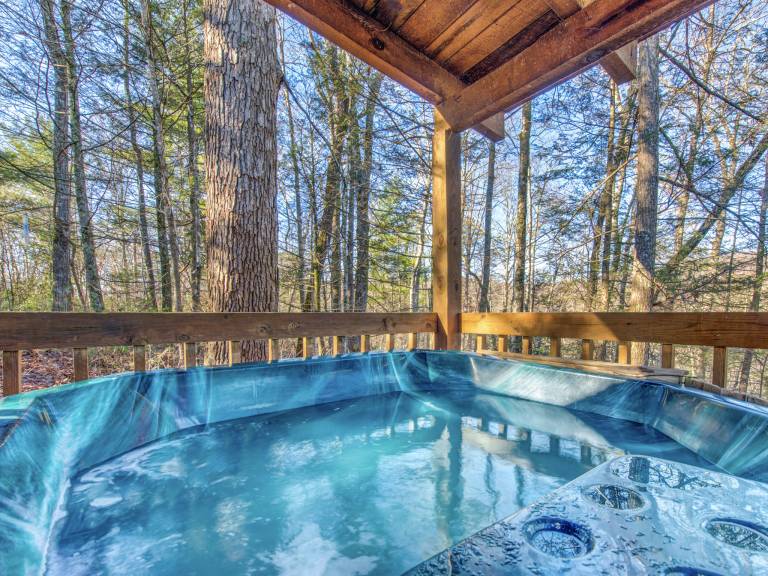 512BEARCAVEHAUSDCNCB - Bear Cave Haus — photo 2