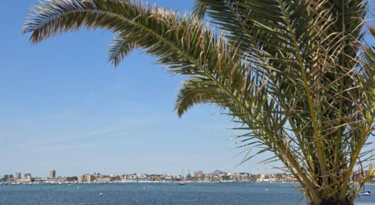 Chalet | Dogs allowed in Murcia