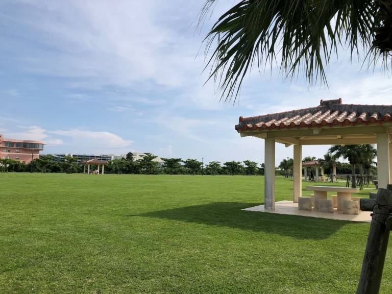 foto5