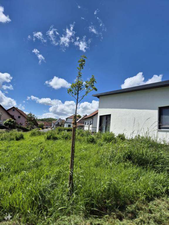 foto42