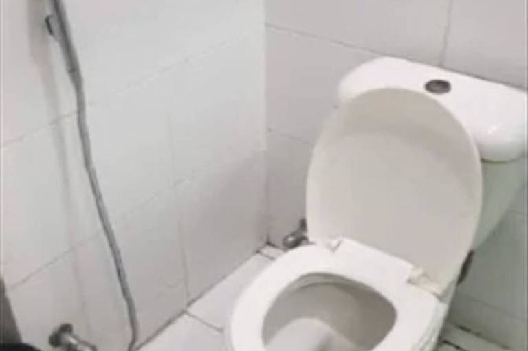 foto1