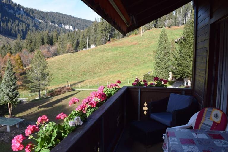 Ferienwohnung  Interlaken