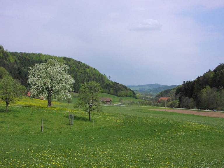 foto38