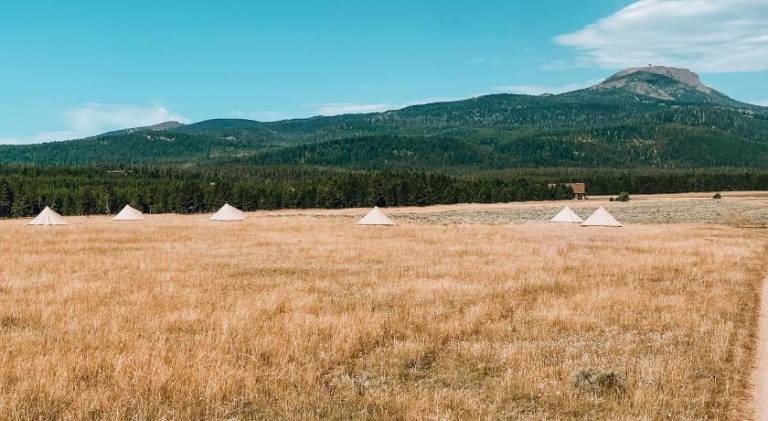 Yellowstone Glamping — photo 3