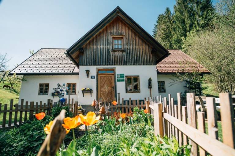 Ferienhaus Eisenwiesen