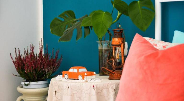 Vacation home | Pets are welcome — photo 4