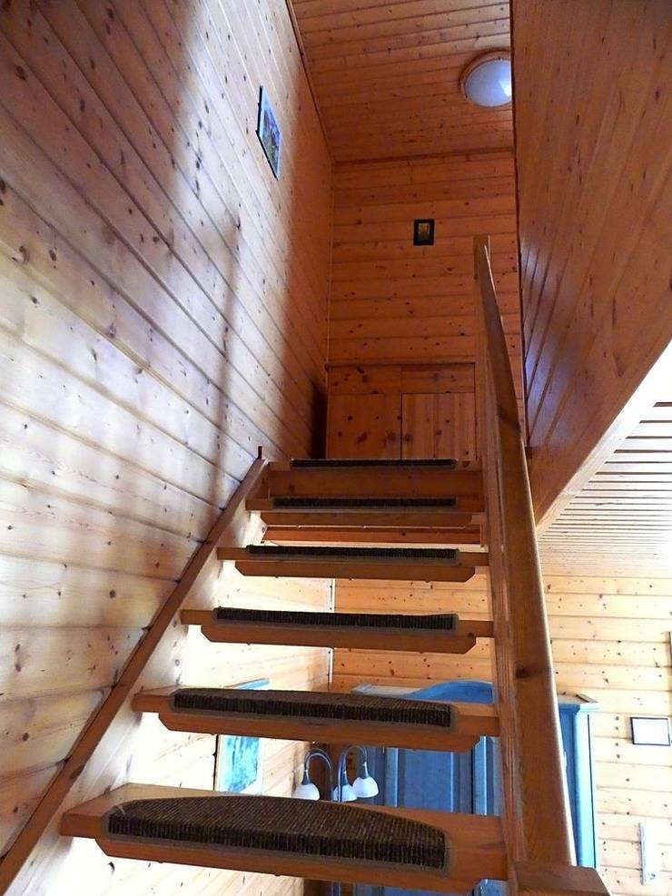 foto7