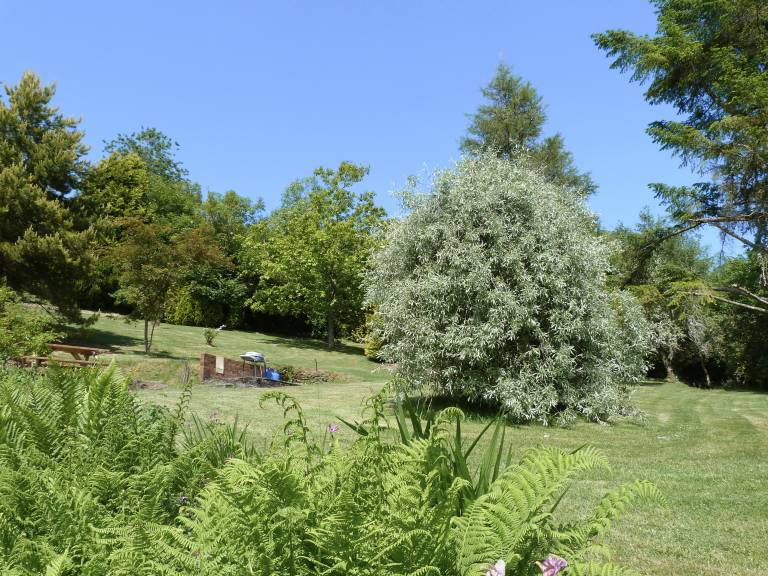 foto10