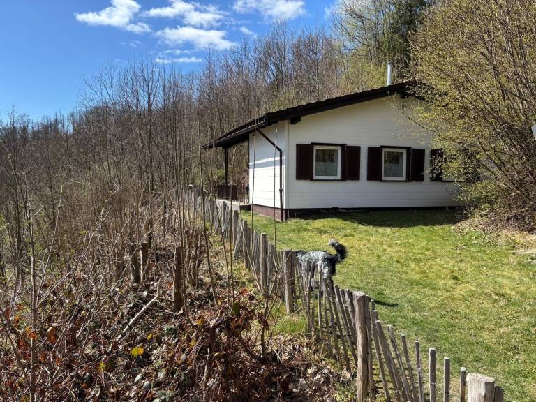Ferienhaus Sankt Andreasberg