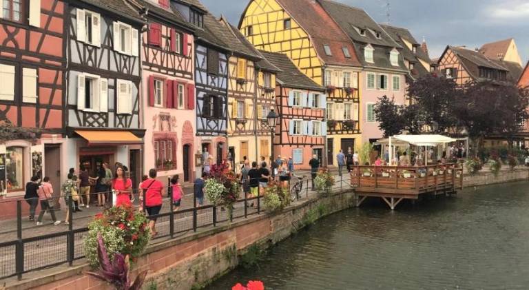 Rental apartment | Pets allowed in Ribeauvillé